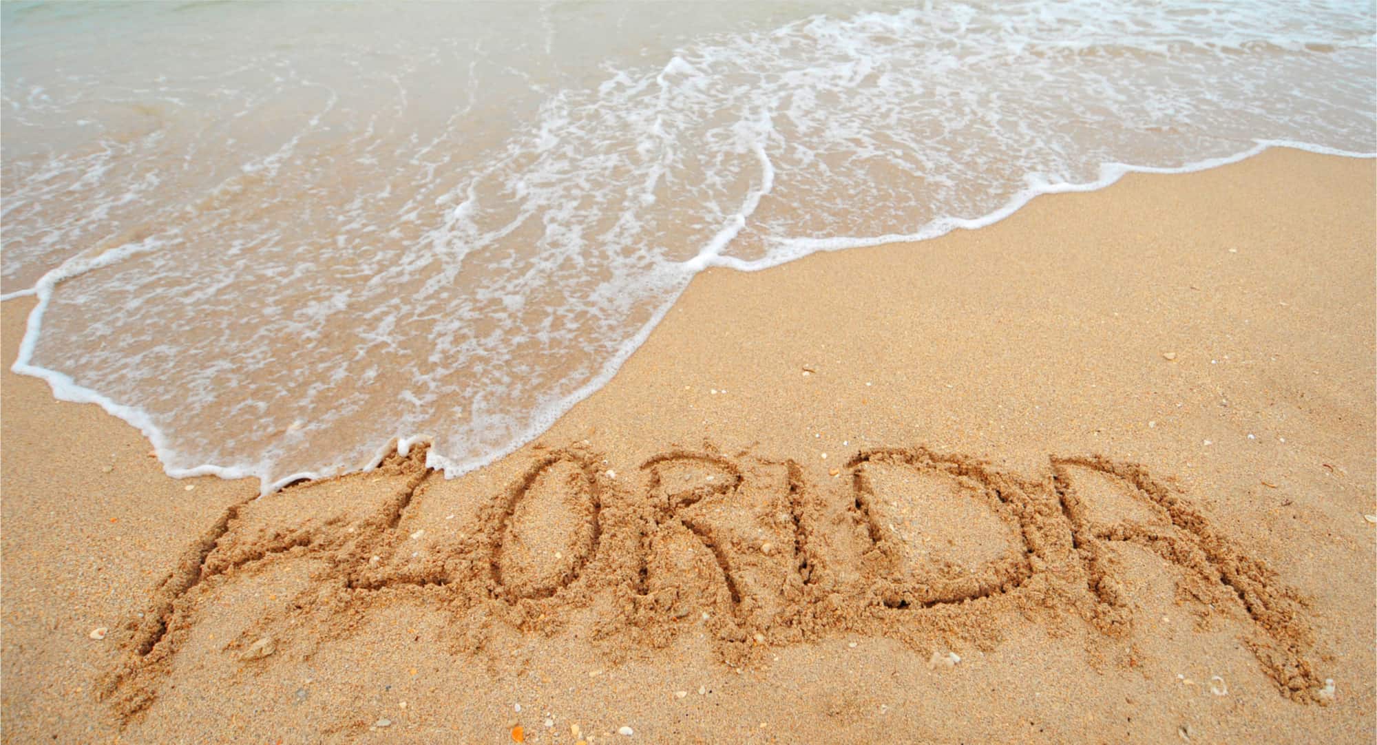 Florida beaches open covid-19